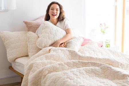 「パシーマ(R)」販売25年×dinos創業55周年記念商品!“ 「パシーマ(R)」販売25年×dinos創業55周年記念商品!“