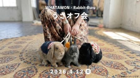 うさぎに囲まれる1日。撮る・買う・遊ぶが全部できる“