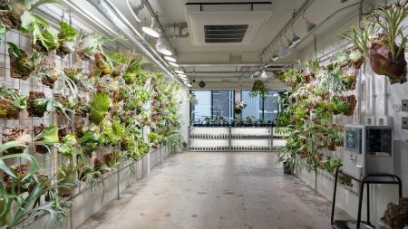 植物愛好家の聖地 「vandaka plants OSAKA」 が大阪・