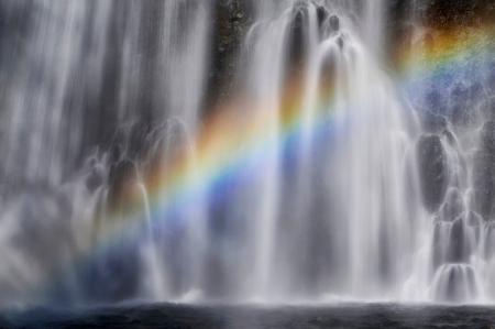 アイデムフォトギャラリー［シリウス］第5回 薄井裕自