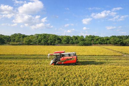 年間200万トンの籾殻が未活用 農業副産物を食品へ転 年間200万トンの籾殻が未活用 農業副産物を食品へ転