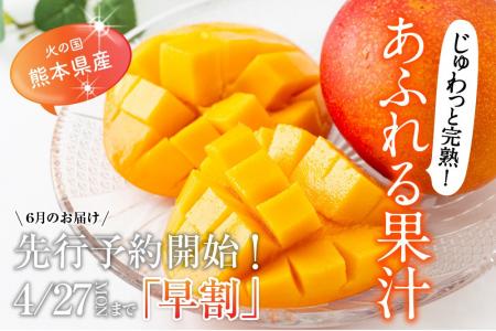 【予約解禁】早い者勝ち [早割]お買い得！完熟マンゴ