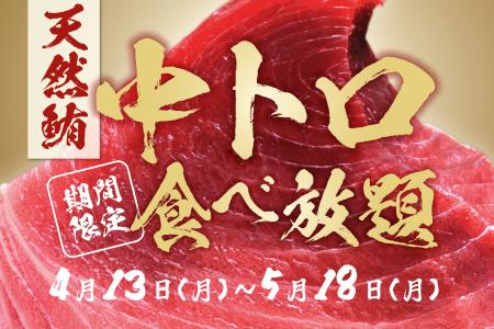 【期間限定】「天然マグロの中トロ」が食べ放題utf-8
