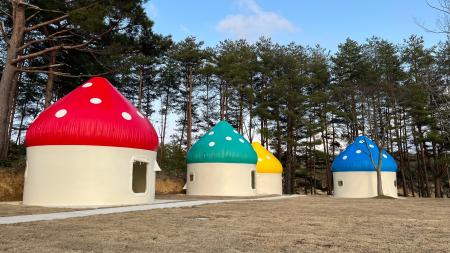 LIFULL、石川県能登町へインスタントハウスを企業版ふ LIFULL、石川県能登町へインスタントハウスを企業版ふ