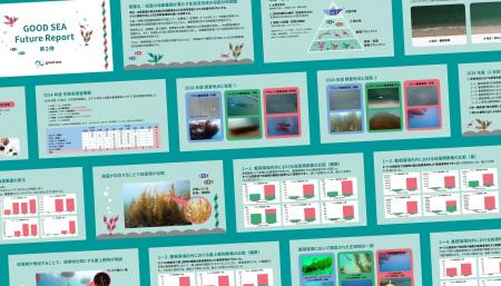 海藻養殖は「生態系を拡張する」 全国6海域の定量調査