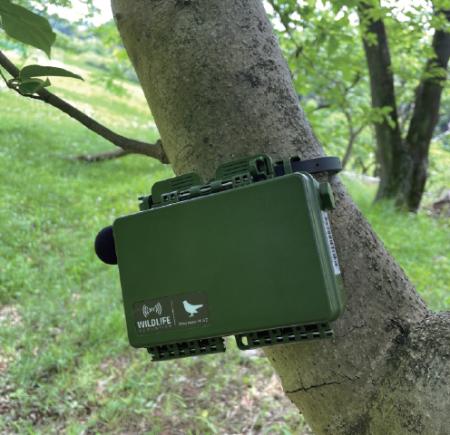 【玉川大学農学部 関川清広教授 共同研究成果】utf-8 【玉川大学農学部 関川清広教授 共同研究成果】utf-8