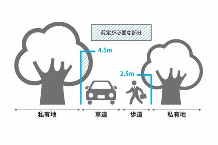 道路安全確保のための樹木管理のお願い