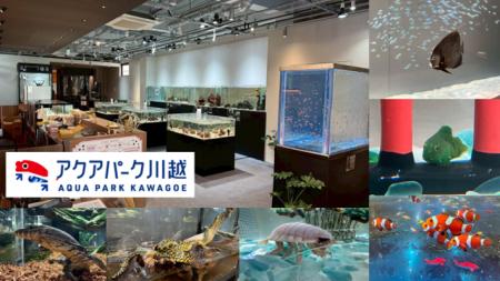 浮遊する藻類『FUYUSO』、アクアパーク川越にて販売開