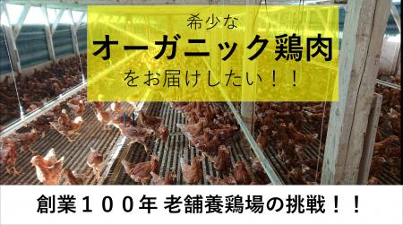 オーガニック鶏肉生産販売挑戦のクラウドファンディン