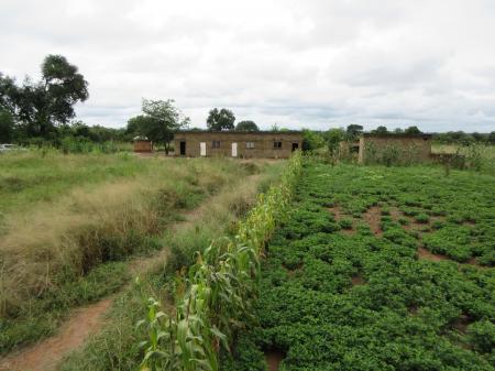 アフリカ・ザンビアの農地（4ha）を活用した農業・SDG