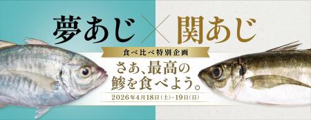 さかなドリーム、世界初の養殖魚「夢あじ」と天然の最 さかなドリーム、世界初の養殖魚「夢あじ」と天然の最