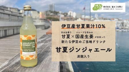 甘夏×生姜「もったいない」を救う新発想! 伊豆産甘夏 甘夏×生姜「もったいない」を救う新発想! 伊豆産甘夏