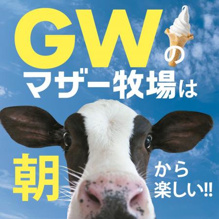 【GW早朝限定】迫力満点のイベント「ひつじの大放牧」