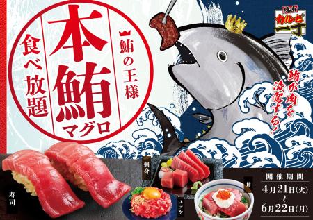 焼肉店で本まぐろが食べ放題!?【カルビ一丁】が“肉×海