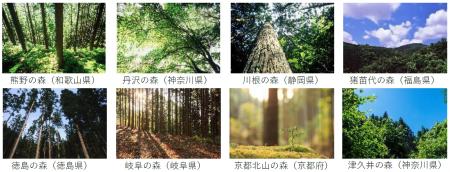 社有林の水源かん養機能により「ウォーターポジティブ