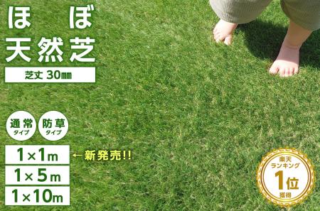 【お買い物マラソン連動】究極のリアルを追求した「高