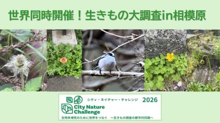 【生物多様性に興味のある皆さまへ】相模原市で世界規