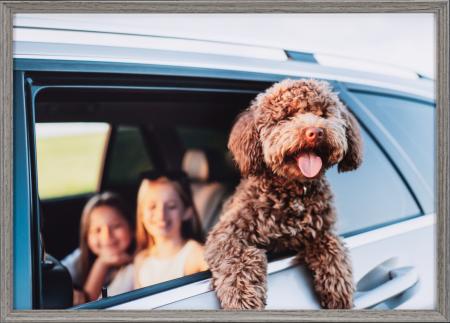 人気のミュートカラーを採用した木目調アルミフレーム