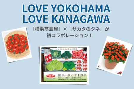 【横浜高島屋】横浜を拠点とする［横浜高島屋］×［サ