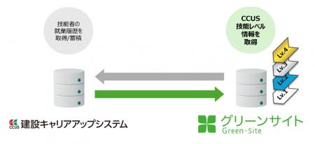 業界初、グリーンサイトがCCUSの技能レベル連携を開始 業界初、グリーンサイトがCCUSの技能レベル連携を開始