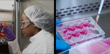 クローダ、バイオ医薬品の安定した製造・製剤プロセス クローダ、バイオ医薬品の安定した製造・製剤プロセス