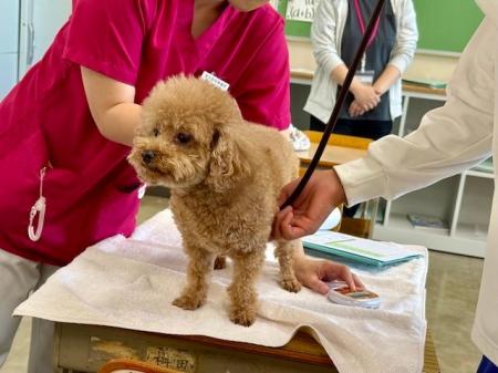 【中学生の“働く意識”に変化】職業体験で「働くことは 【中学生の“働く意識”に変化】職業体験で「働くことは