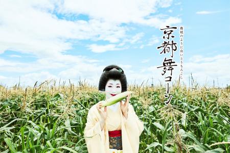 田んぼの真ん中に、行列ができる。 田んぼの真ん中に、行列ができる。