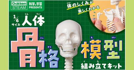 つくって・はって・動かして　人体骨格模型で体のしく