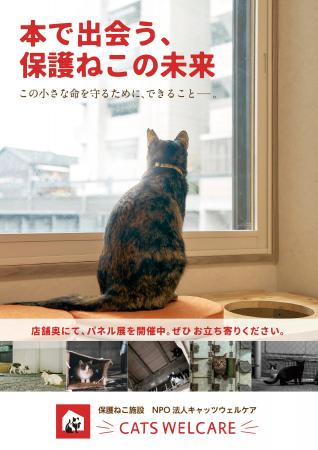 【大阪】「本で出会う、保護ねこの未来」―保護猫活動 【大阪】「本で出会う、保護ねこの未来」―保護猫活動