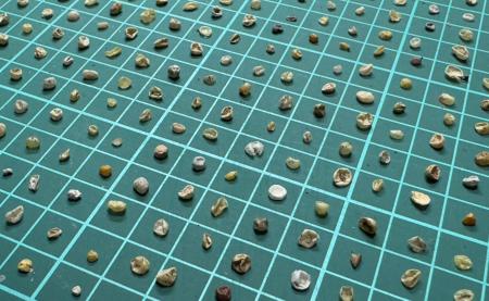 NPO法人クリーンオーシャンアンサンブル、第5弾コラム NPO法人クリーンオーシャンアンサンブル、第5弾コラム