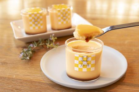 いよいよ4/21ココテラスの丘いいねマルシェ店オutf-8 いよいよ4/21ココテラスの丘いいねマルシェ店オutf-8