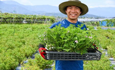 【新事実】ローズゼラニウムの保湿力はアロエの3.2倍 【新事実】ローズゼラニウムの保湿力はアロエの3.2倍