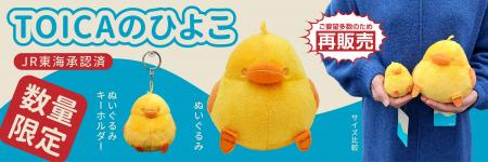 【数量限定】再生産決定！ＪＲ東海のTOICAのひよこ　