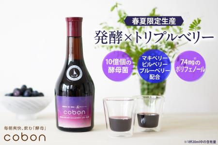 春夏の菌活・腸活・美活に。マキベリー・ビルベutf-8 春夏の菌活・腸活・美活に。マキベリー・ビルベutf-8