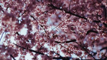 SAKURA MUSIC FES.2026 テーマソング『春はすぐそこ』 SAKURA MUSIC FES.2026 テーマソング『春はすぐそこ』