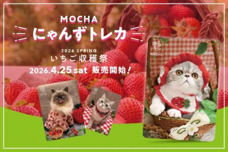 累計11万セット突破！猫カフェMOCHA「にゃんずトレカ