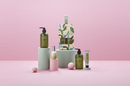 2026.4.23 debut　青々とした緑が芽吹く季節にふさわ