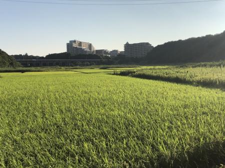 千葉県・ユーカリが丘「子どものことを一番に考utf-8 千葉県・ユーカリが丘「子どものことを一番に考utf-8