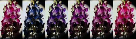 見え方をデザインする照明技術「SCOI」を開発 見え方をデザインする照明技術「SCOI」を開発