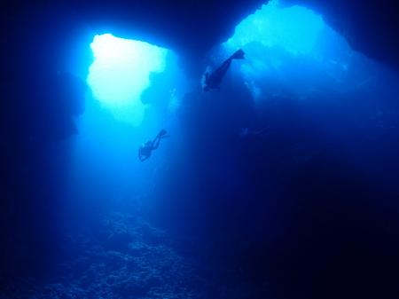 パラオ『マリンダイビング大賞2025』で1位受賞 パラオ『マリンダイビング大賞2025』で1位受賞