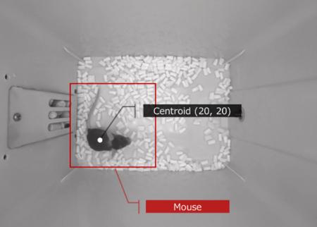 リヴァンプがAxcelead DDPと「AIによる動物行動解析」