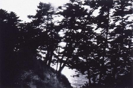 【島根県立美術館】コレクション展「山陰と写真」開催