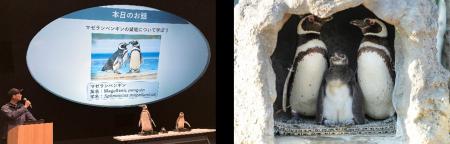 【神戸須磨シーワールド】5月18日は『国際博物館の日 【神戸須磨シーワールド】5月18日は『国際博物館の日