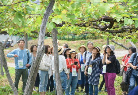 畑と造り手に出会う「かみのやまワイナリーツアー」開 畑と造り手に出会う「かみのやまワイナリーツアー」開