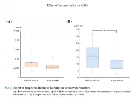 カネリョウ海藻、伝統的な食用海藻「クロメ」から、老 カネリョウ海藻、伝統的な食用海藻「クロメ」から、老