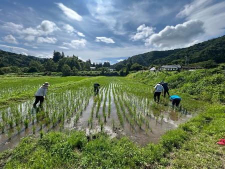 びわ湖の源流でデータを活用した未来の農業体験