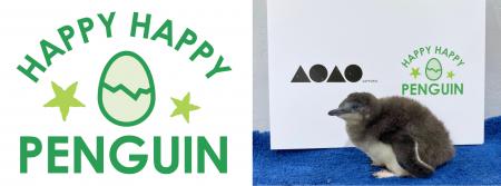 “世界一小さなペンギン”の雛がすくすく順調に成長中! 