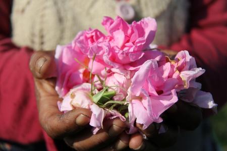 ISOIが貫く“液体ダイヤモンド”のこだわり。知る人ぞ知