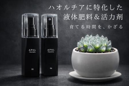 新ブランド「APNL」から、ハオルチアの“窓”の透明感に