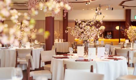 【札幌】1,000坪の日本庭園に桜が咲く6日間限定　創業